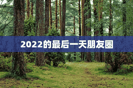 2022的最后一天朋友圈(2022的最后一天朋友圈说说)